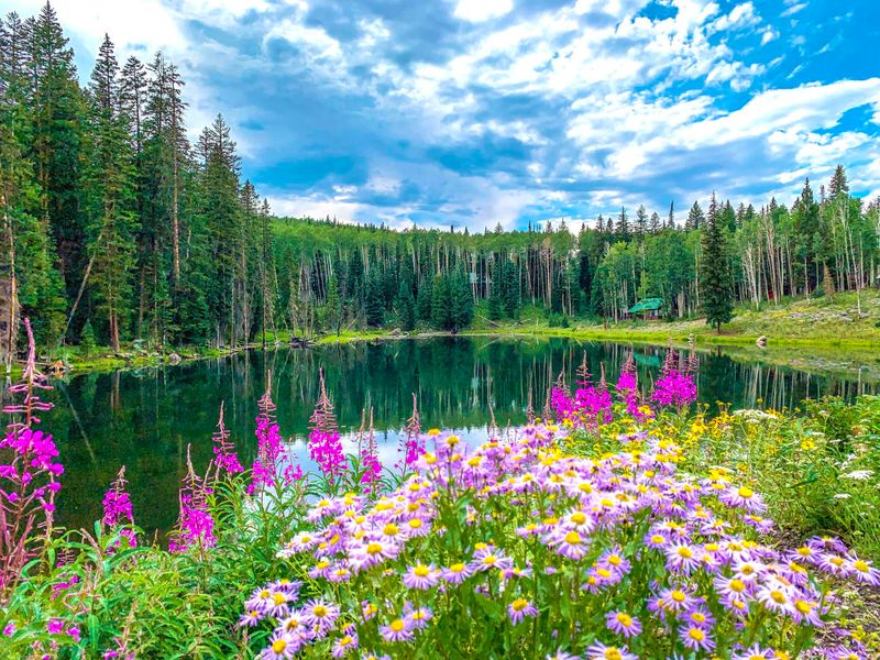 Grand Mesa National Forest: The World's Largest Flat-Top Mountain