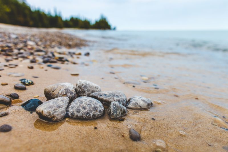 Petoskey State Park