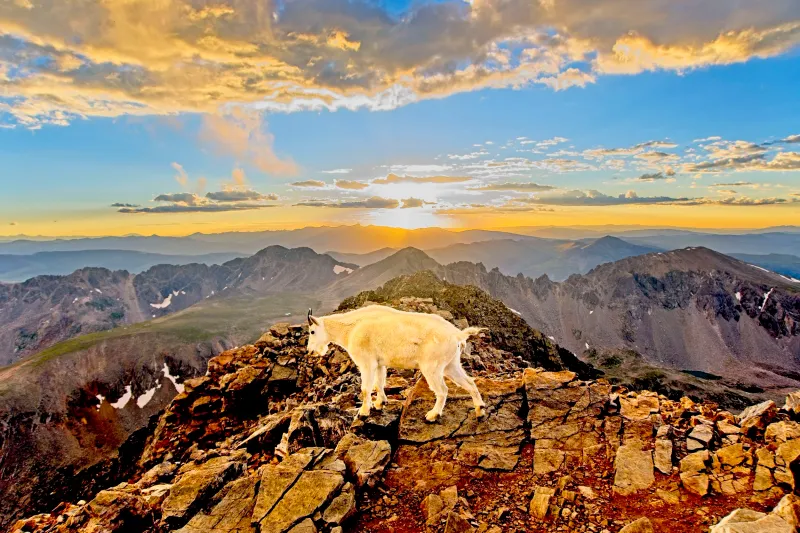Quandary Peak Summit: The Accessible 14er