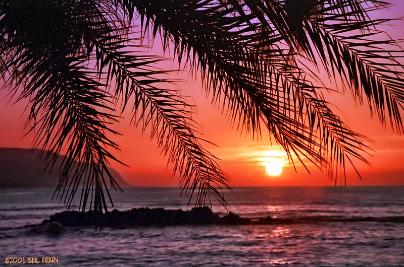Sunset Picnic at Pua'ena Point