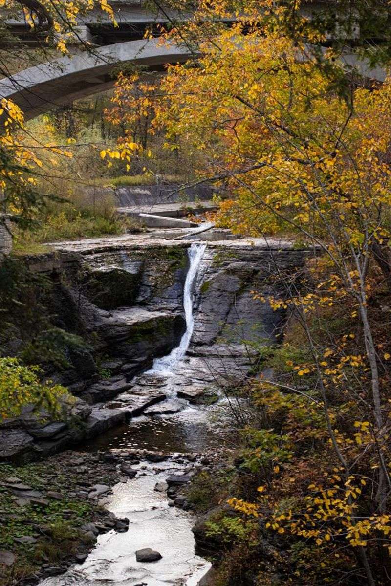 Mine Kill State Park's Valley Overlook
