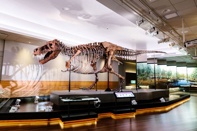 Time-Traveling At Field Museum