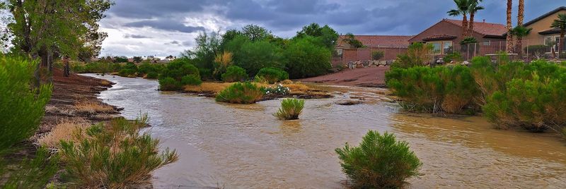 Natural Hazard Realities