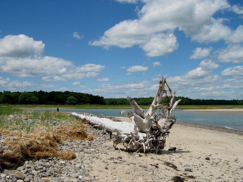Laudholm Beach in Wells: A Secluded Gem in a Nature Reserve