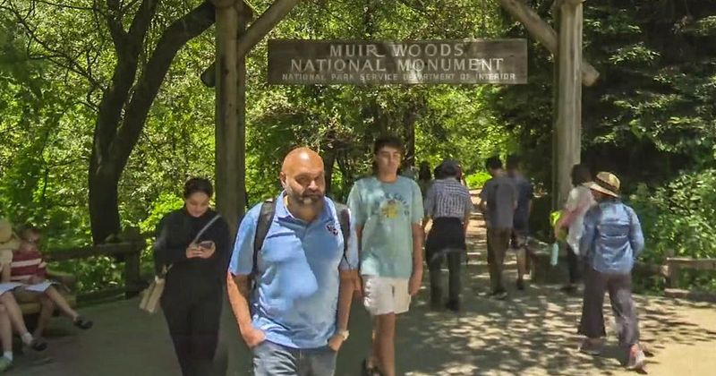 Muir Woods: Ancient Giants Surrounded by Human Swarms