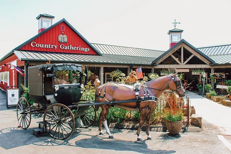 Amish Country Charm: Millersburg's Simple Pleasures