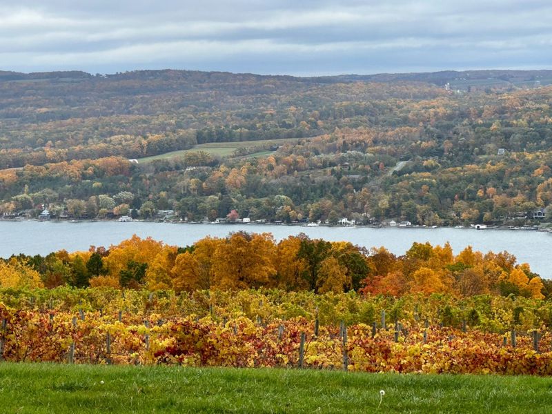 Cayuga Lake Scenic Byway (Finger Lakes)