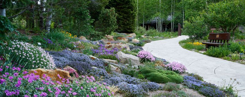 Betty Ford Alpine Gardens: Highest Botanical Wonder