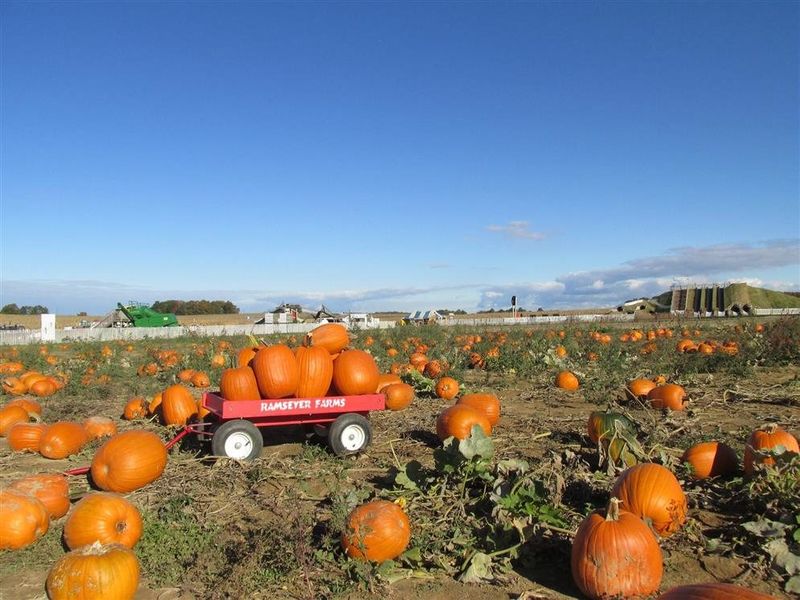 Ramseyer Farms: Wooster's Fall Wonderland