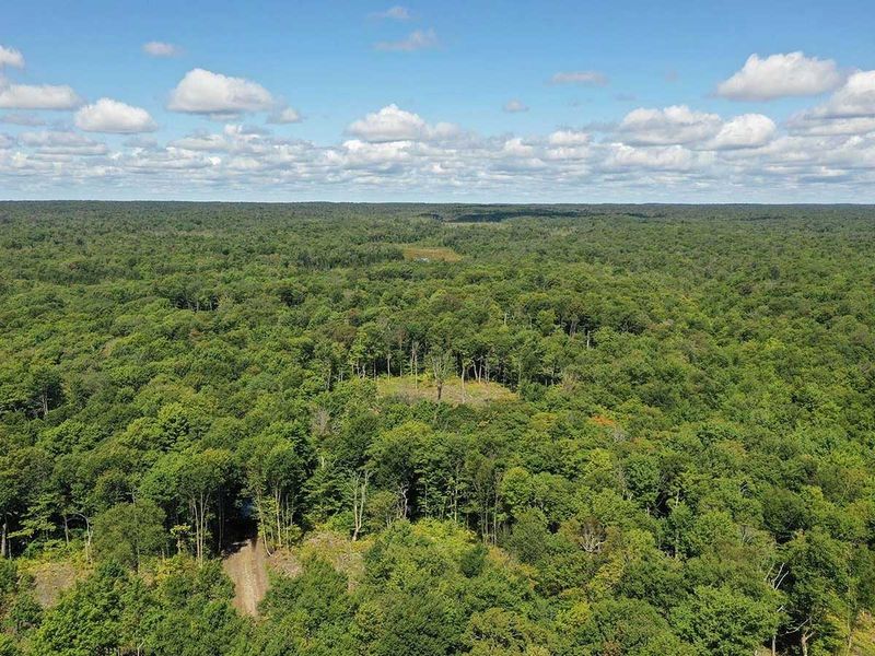 Tug Hill Wildlife Management Area