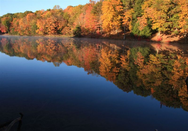 Blue Rock State Forest: Off-the-Radar Colors in Muskingum County