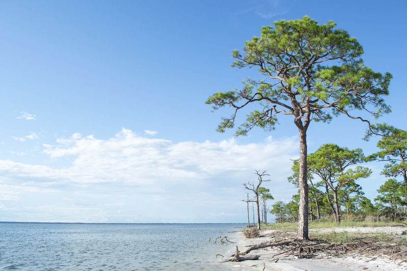 Little St. George Island: Untamed Wilderness Without Facilities