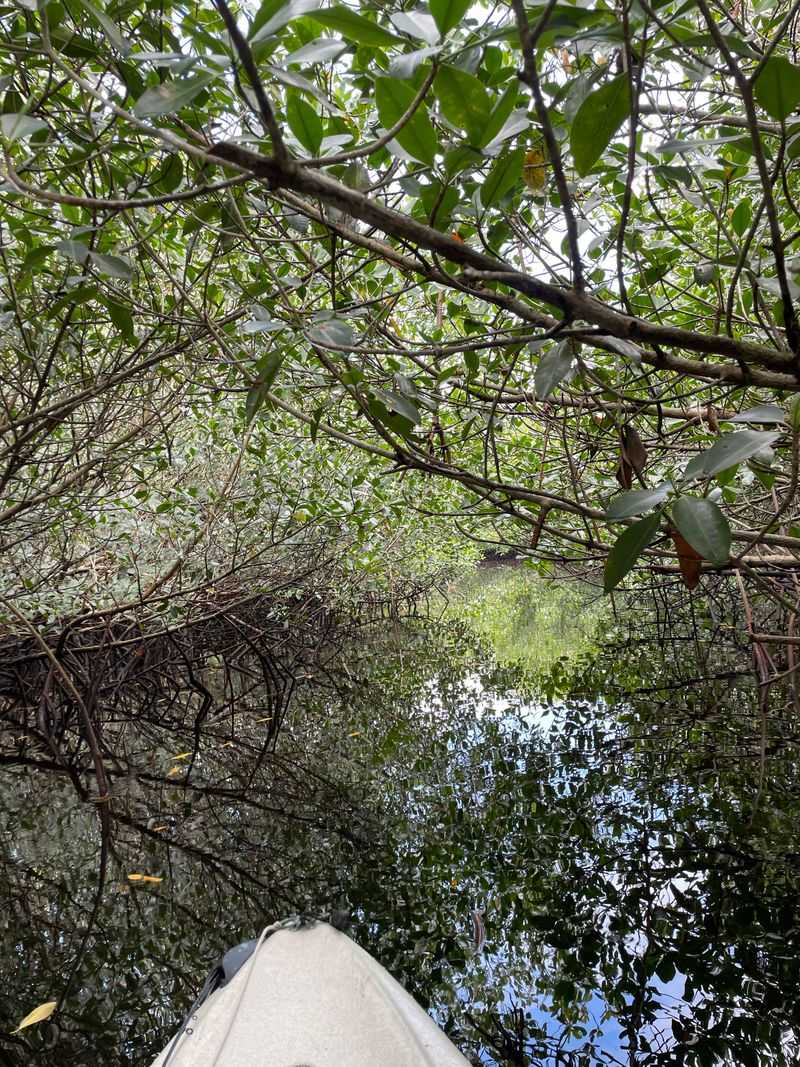 Collier-Seminole's Ancient Waterways