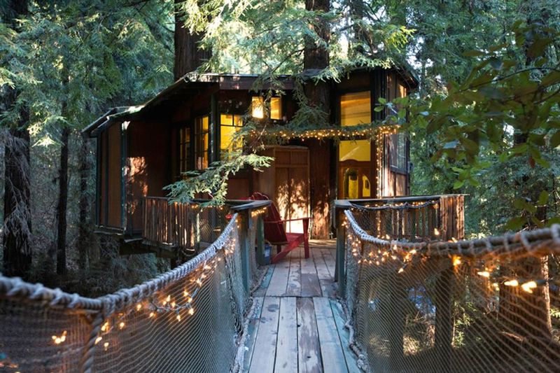 Redwood Treehouse (Healdsburg, CA)
