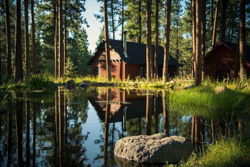 FivePine Lodge: Luxury Cabins in a Ponderosa Forest