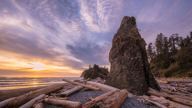 Ruby Beach: The Driftwood Wonderland