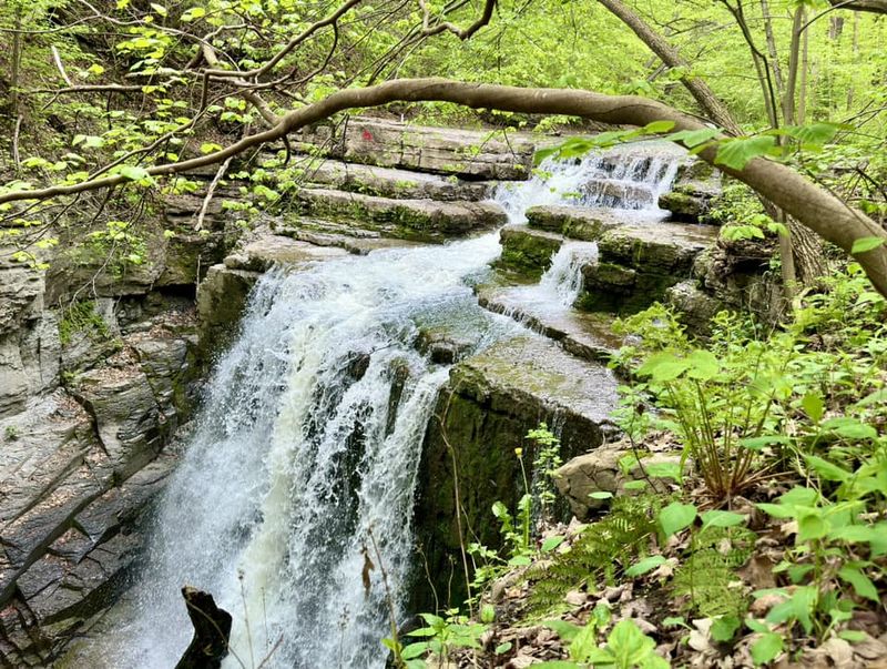 Edwards Lake Cliffs Preserve