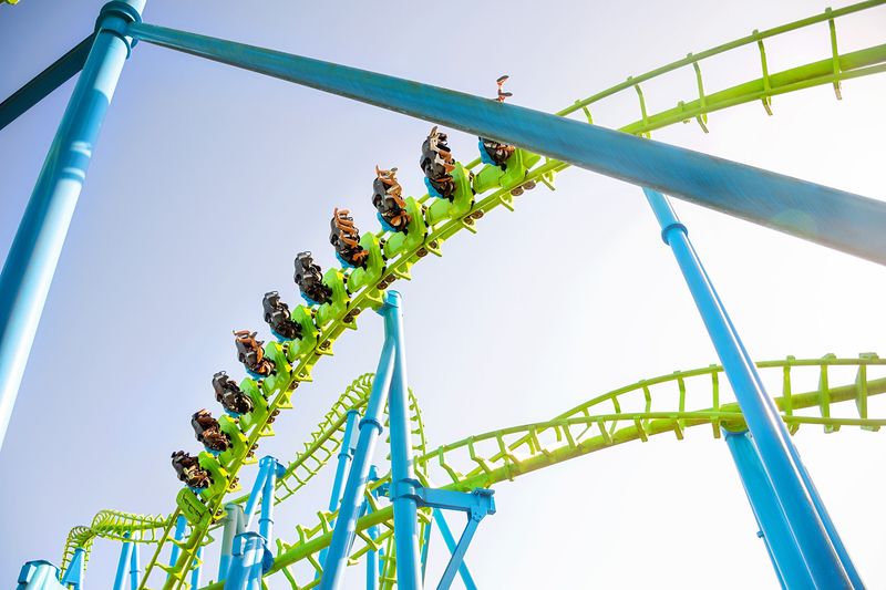 Wild Adventures Theme Park: Where Wildlife Meets Wild Rides