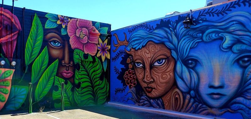 Lemon Grove's Dreamlike Alleyway