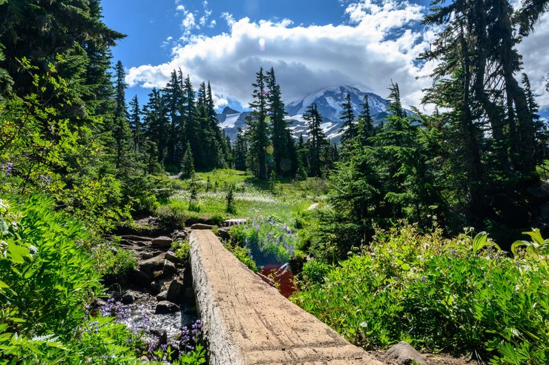 Spray Park Trail in Mount Rainier