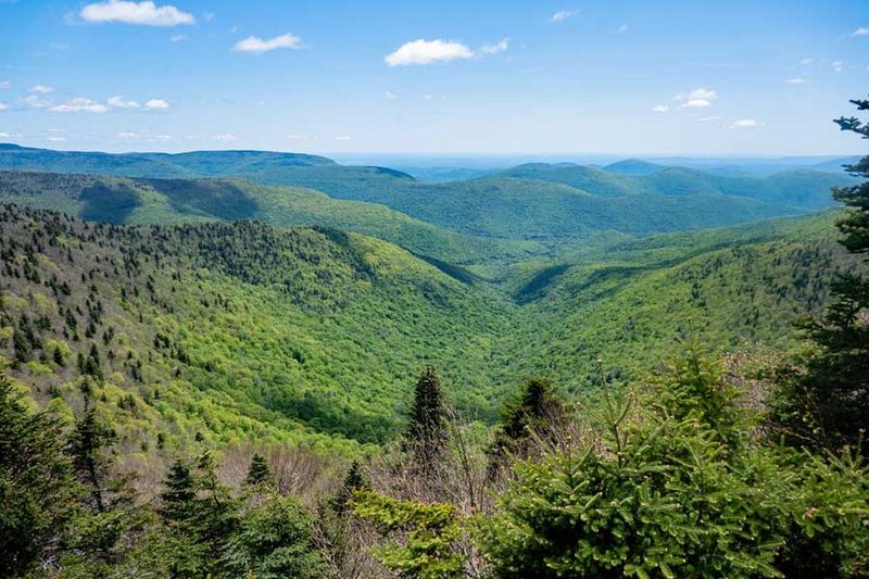 Hunter-West Kill Wilderness