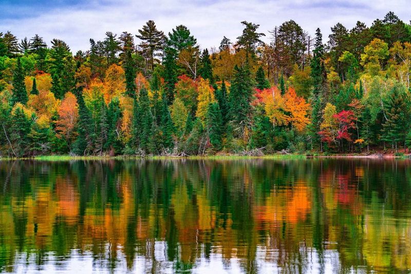 Wilderness Adventure At Voyageurs National Park