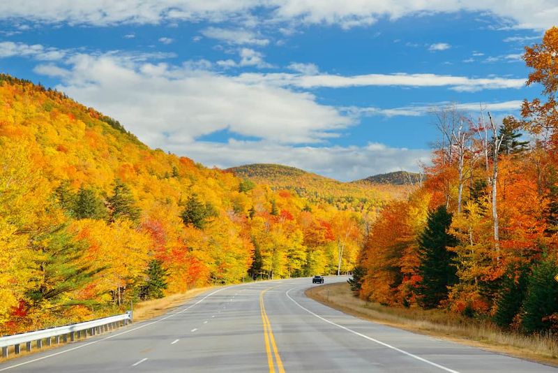 The Scenic Route 100 Corridor