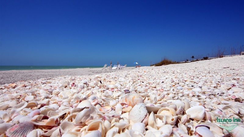 Sanibel Island: Shell Seeker's Paradise