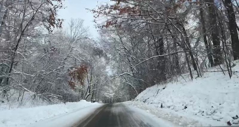 Landscape Transforms Overnight