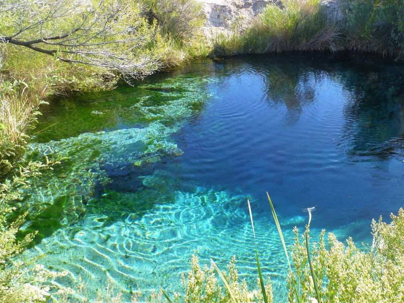 Ash Meadows National Wildlife Refuge: Crystal Waters Sanctuary