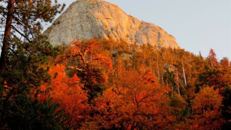 Idyllwild's Mountain Magic