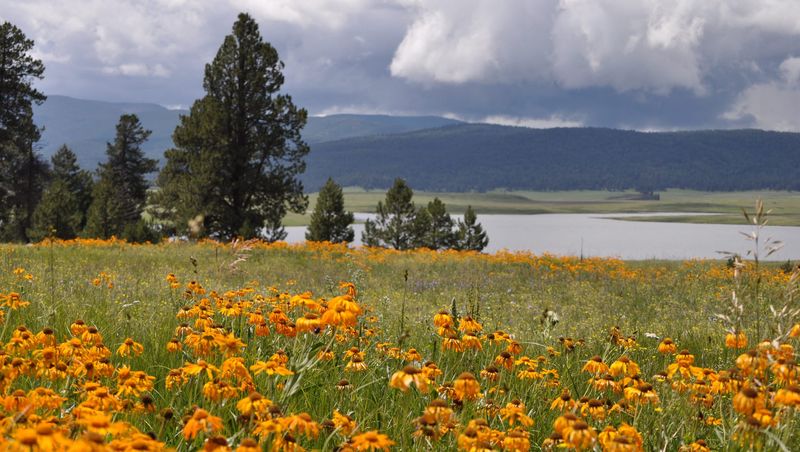Greer: Mountain Retreat That Locals Guard Closely