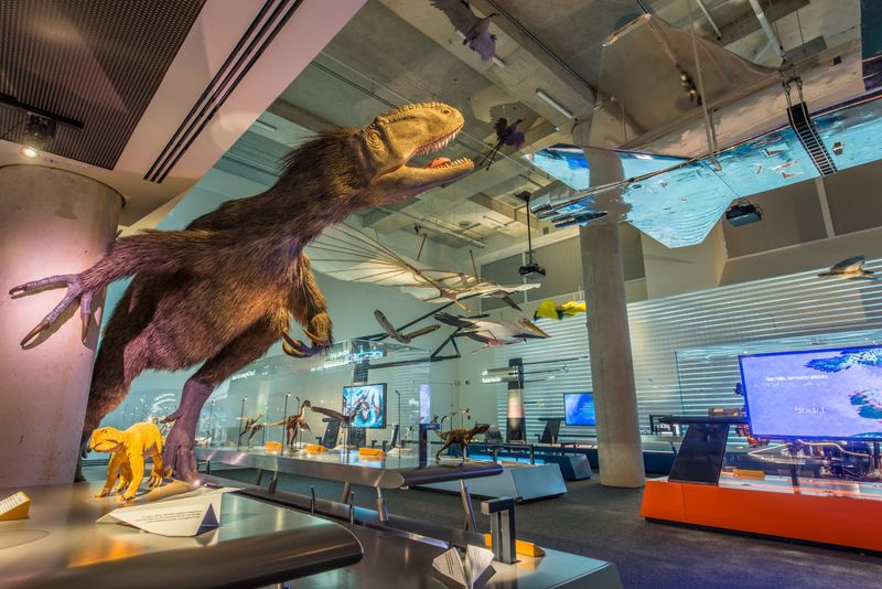 Educational Attractions That Don't Feel Like School