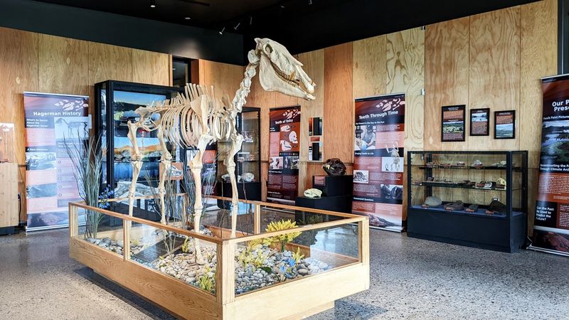 How Visitors Can Experience the Site Today