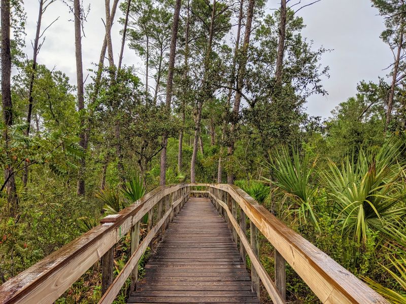 Turkey Creek Sanctuary, Palm Bay