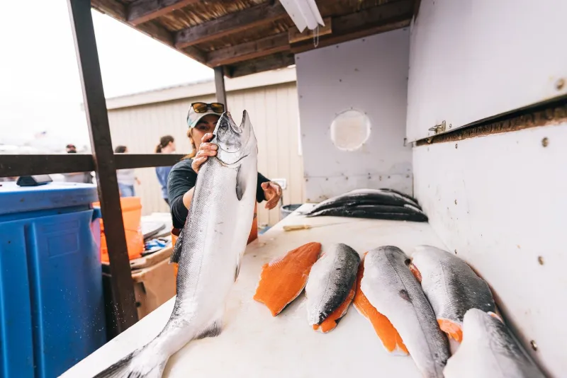 Harvest Market: Anacortes' Fresh-Caught Market Eatery