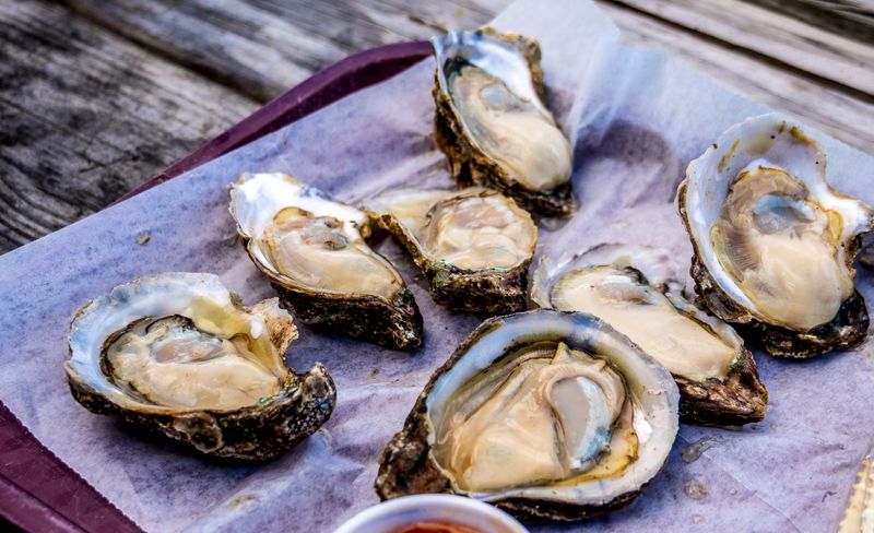 Apalachicola: Oysters on the Coast