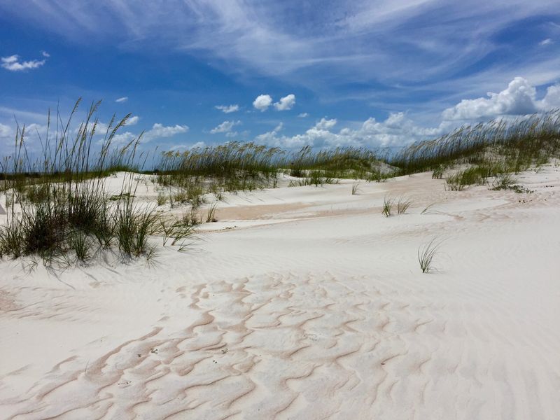 Anastasia State Park