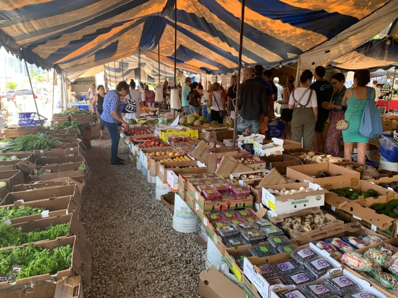 Coconut Grove Saturday Morning Market (Miami)