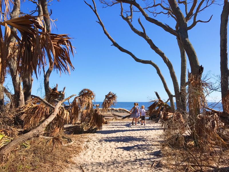 Jekyll Island: The Millionaire's Former Playground