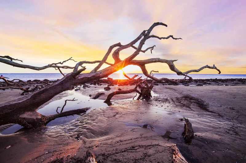 Jekyll Island