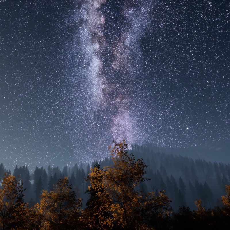 Steamboat Lake's Stargazing Flame Circles