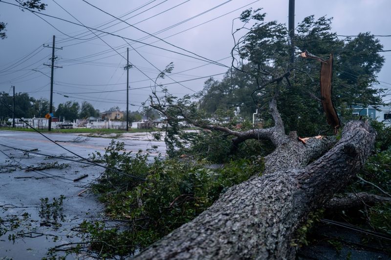 High Winds From Hurricanes Can Create Serious Hazards