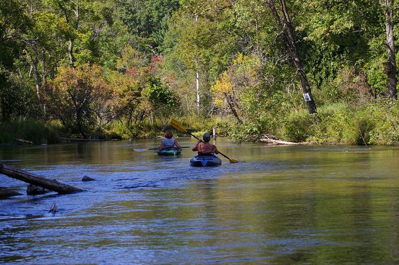Little Manistee's Peaceful Meanders