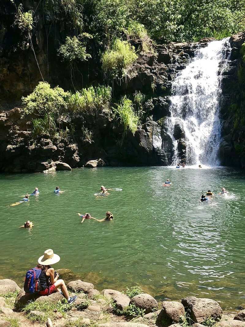 Gentle Exploration of Waimea Valley