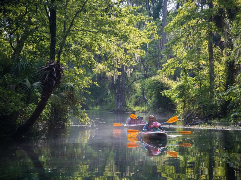 Ocala National Forest Adventure