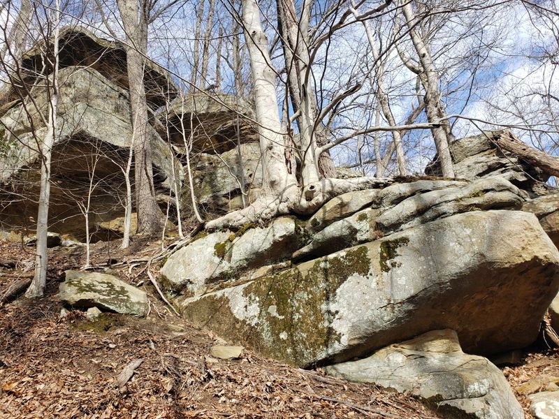 Archer’s Fork Trail (Wayne National Forest)