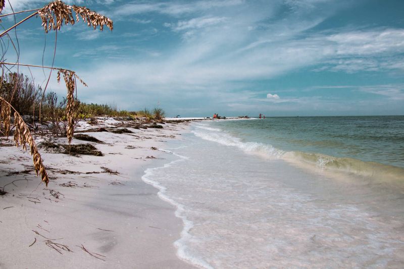 Honeymoon Island State Park: Unspoiled Nature's Paradise