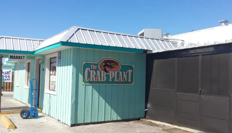 The Crab Plant, Crystal River