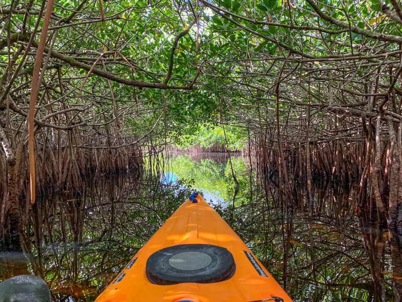 Turner River's Mysterious Passages